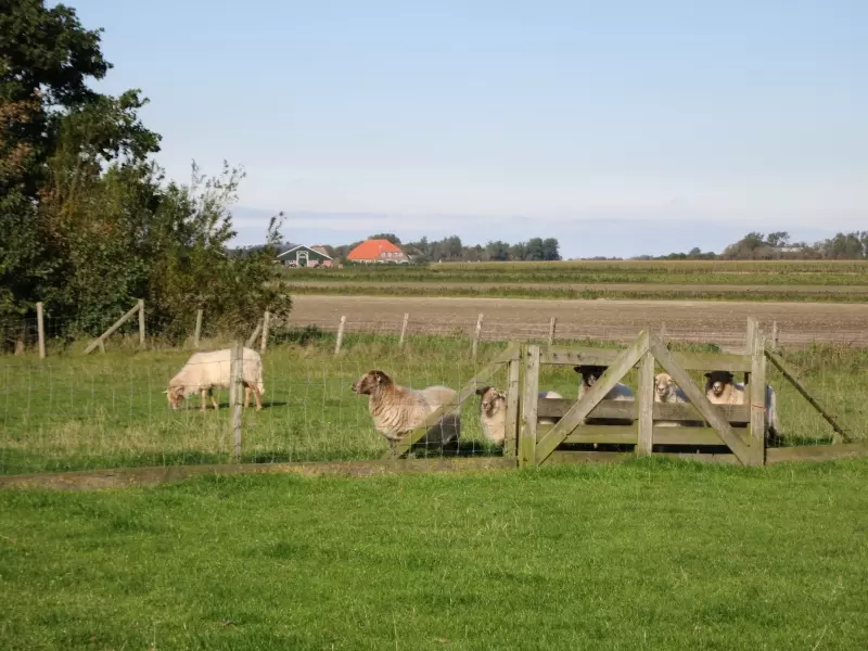Den Hoorn (c) Markus Lenk